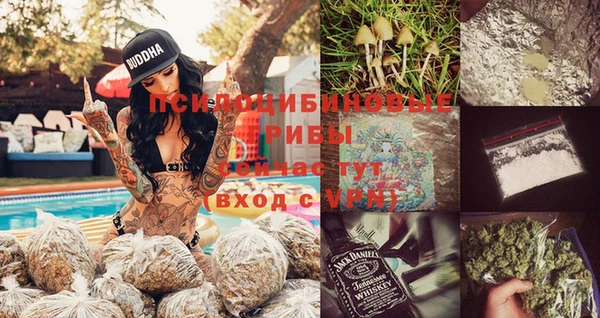 spice Алексеевка