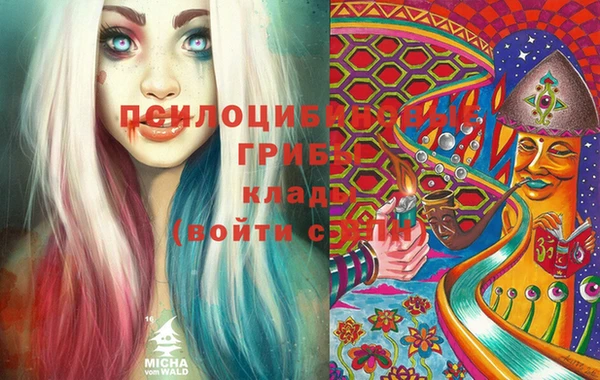 МДПВ Алзамай
