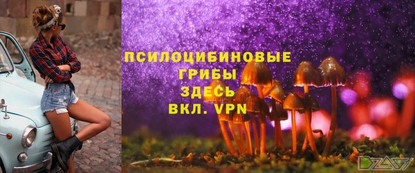 spice Алексеевка